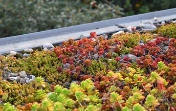 the cost of Watersheddings green roof installation
