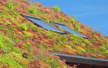 Watersheddings living roof systems